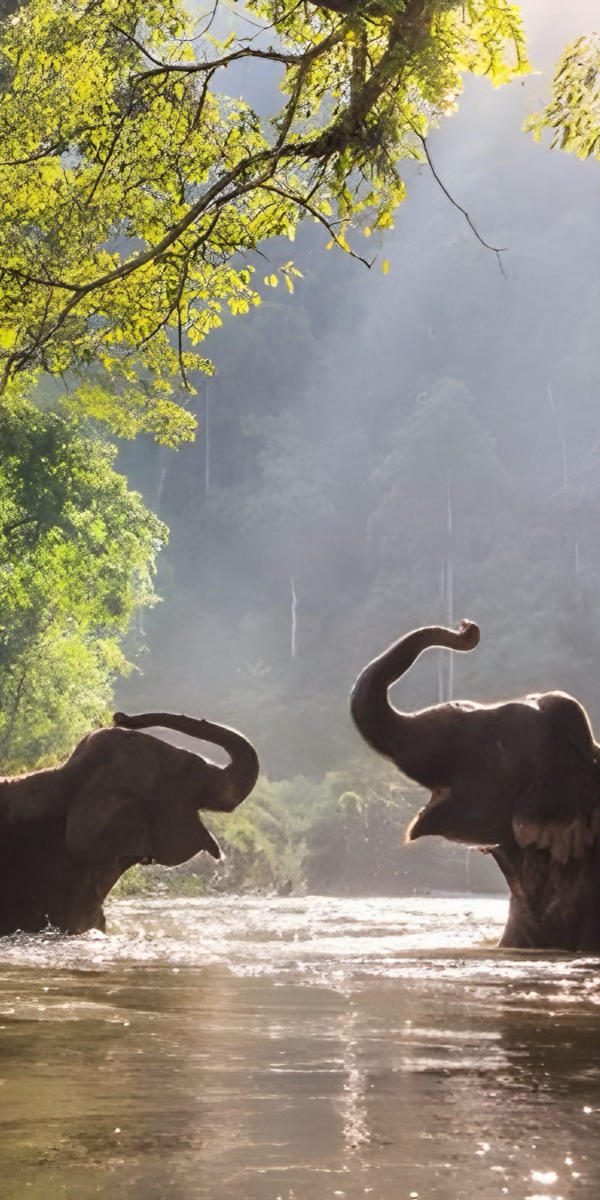 Northern Thailand