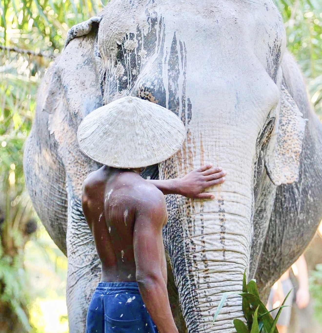 Elephant Nature Park