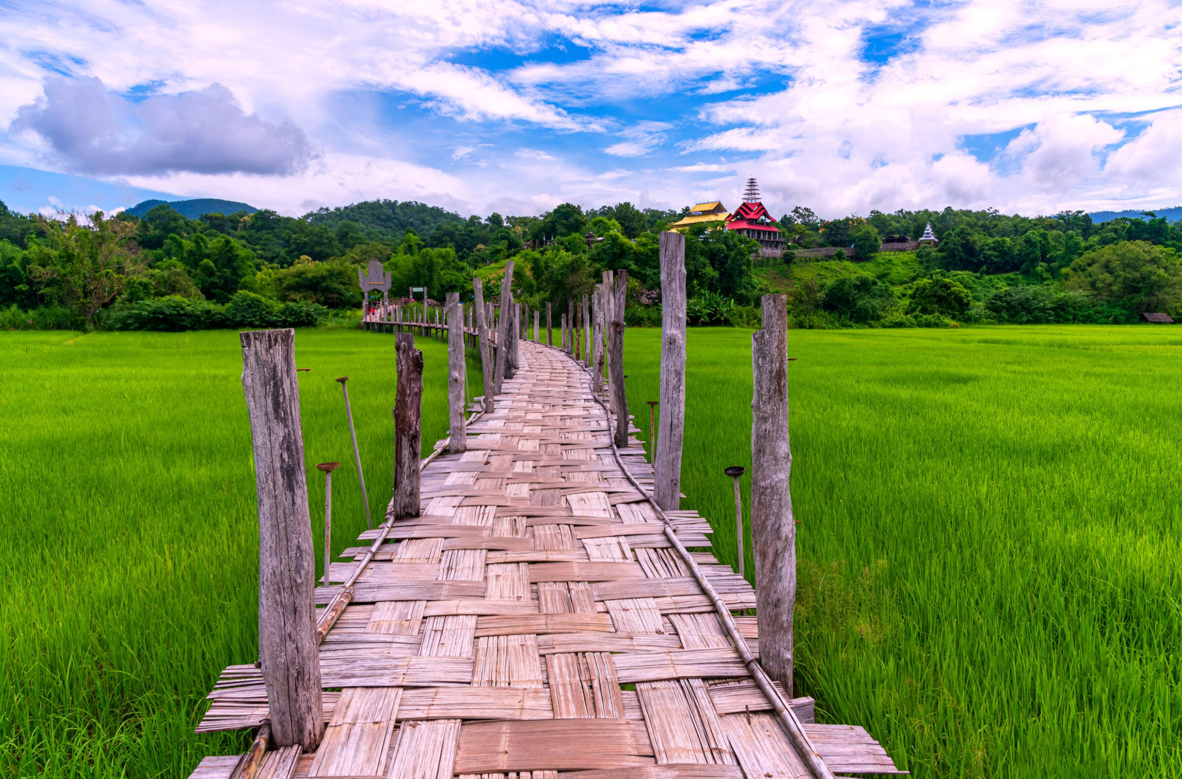 Su Tong Bamboo Bridge