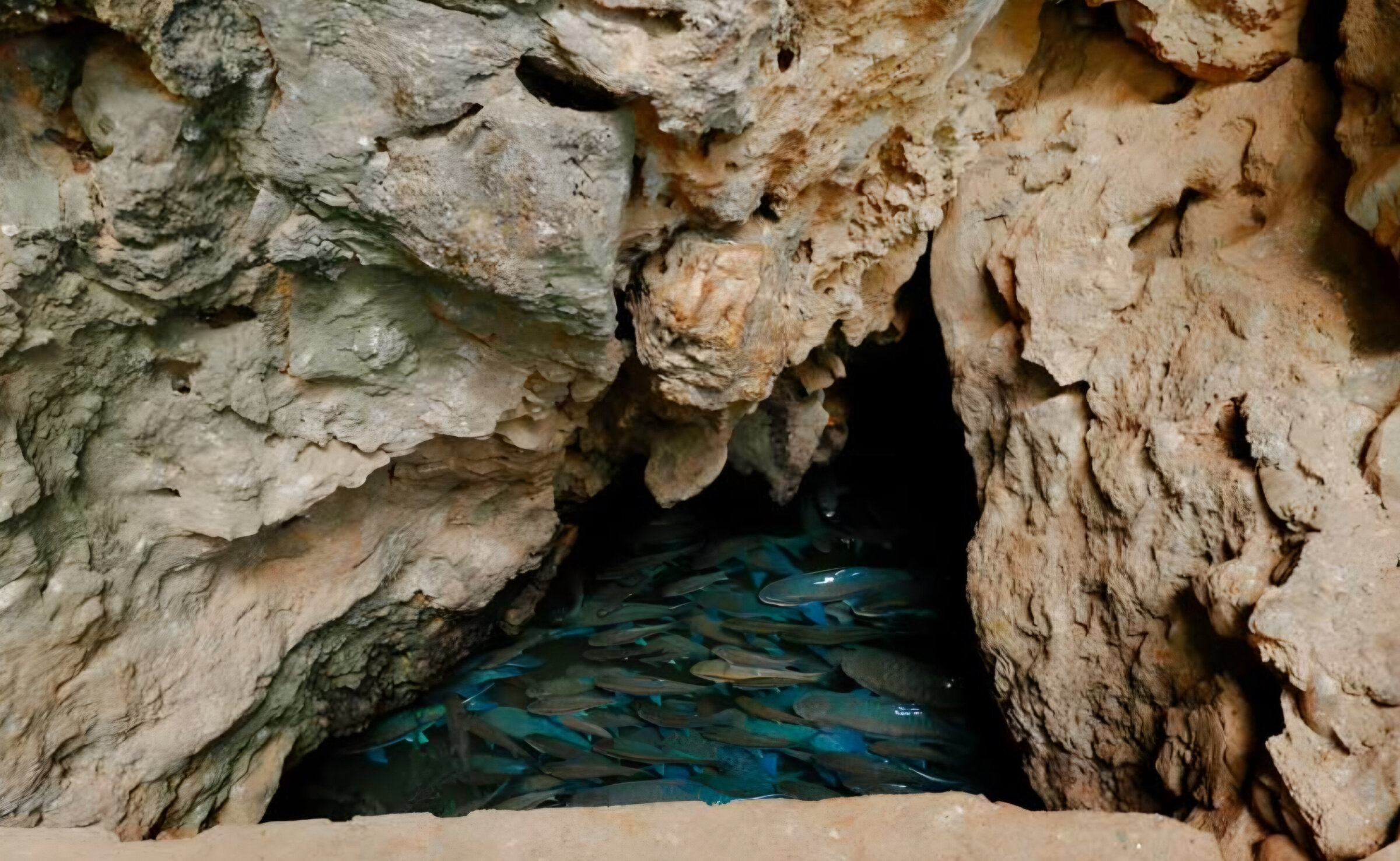 Tham Fish Cave