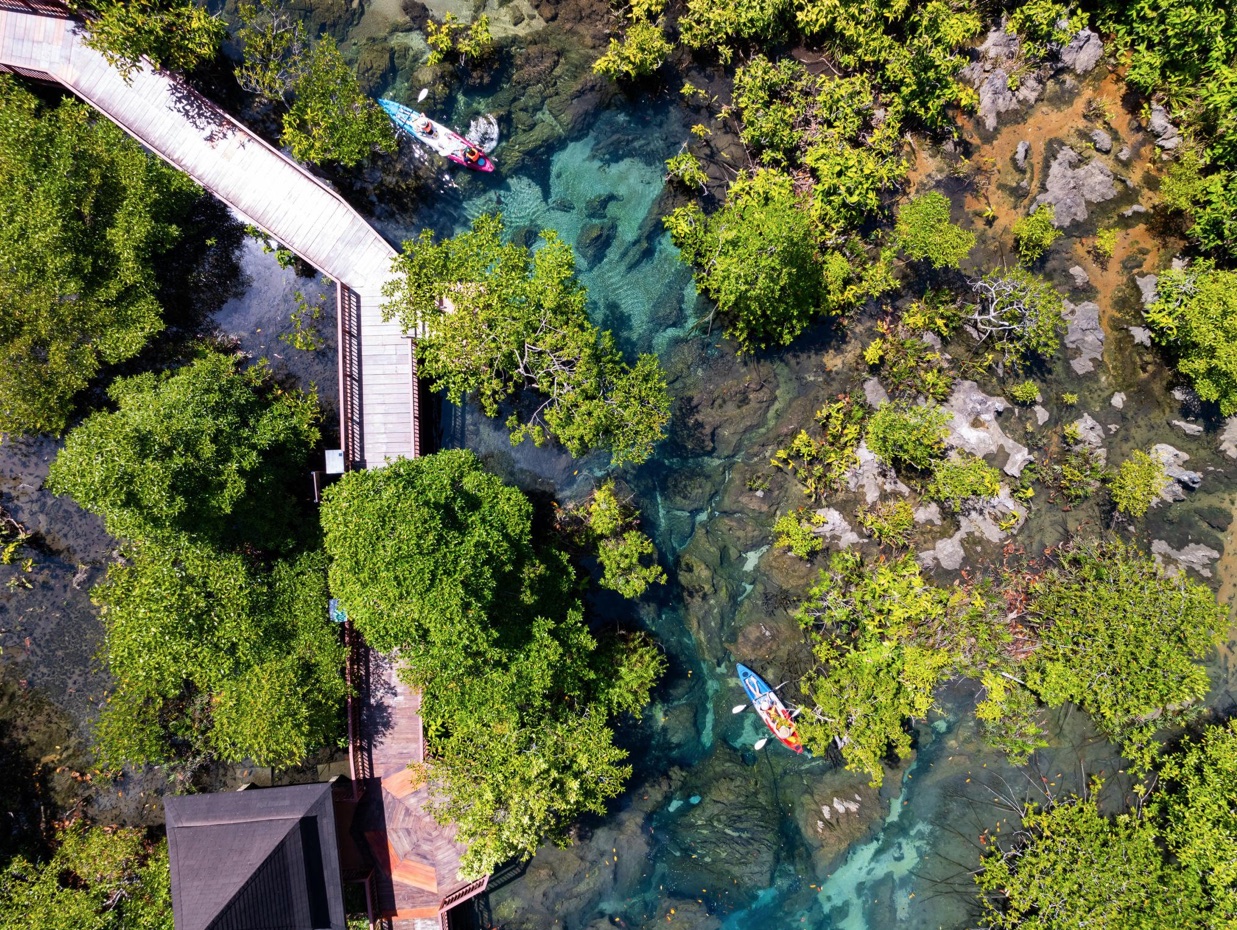 Klong Root